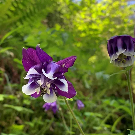 酒店 Al Piccolo Rancho *