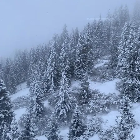 Al Piccolo Rancho 酒店