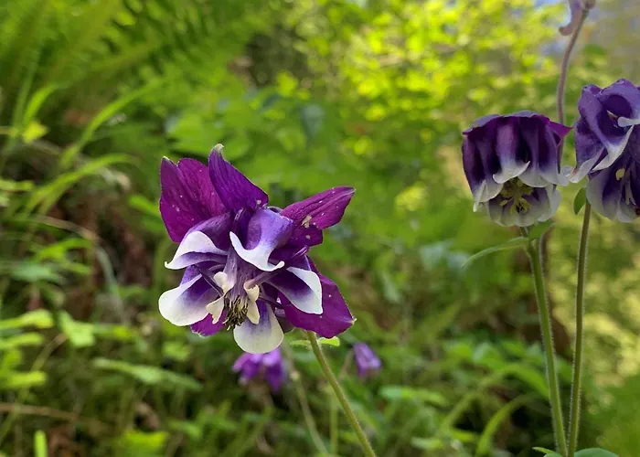 Отель Al Piccolo Rancho *