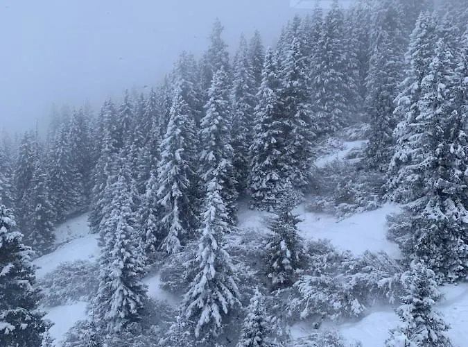 Al Piccolo Rancho Отель